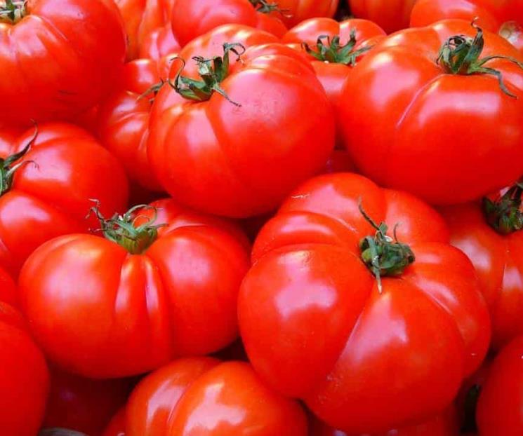 Heladas provocan alza de jitomate y tomate de hasta 25%