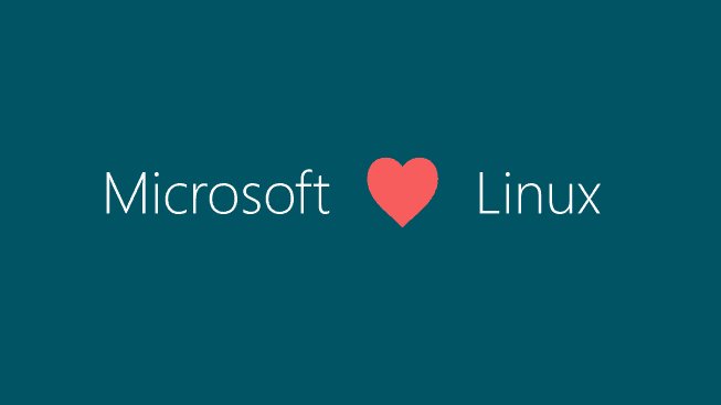 Microsoft usa Linux, pero no lo dice muy alto