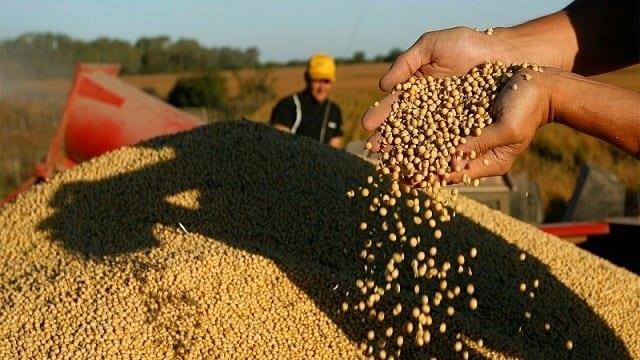 Sader ejercerá 3 mil mdp para potenciar producción de granos