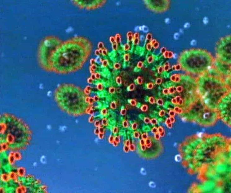 Coronavirus arrasa con espectáculo nacional e internacional