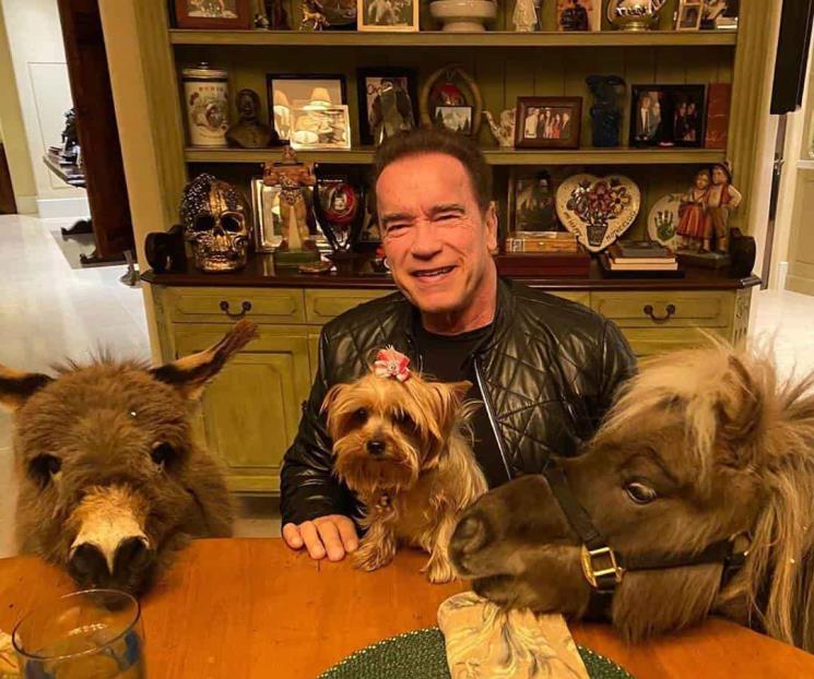 Hace Arnold Schwarzenegger una alianza con TikTok