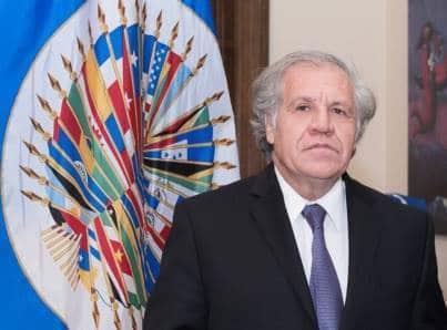 Almagro, reelecto como secretario general de la OEA