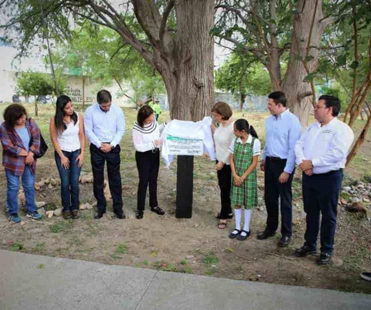 Sembrarán más árboles en escuelas de Guadalupe