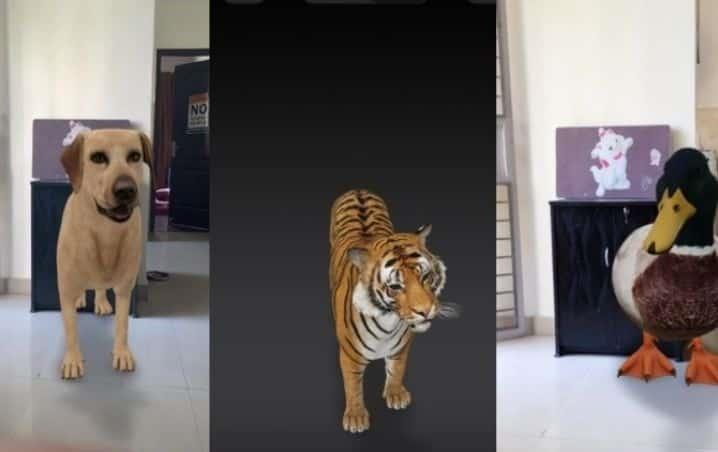 Lanza animales en 3D para equipos con Realidad Aumentada