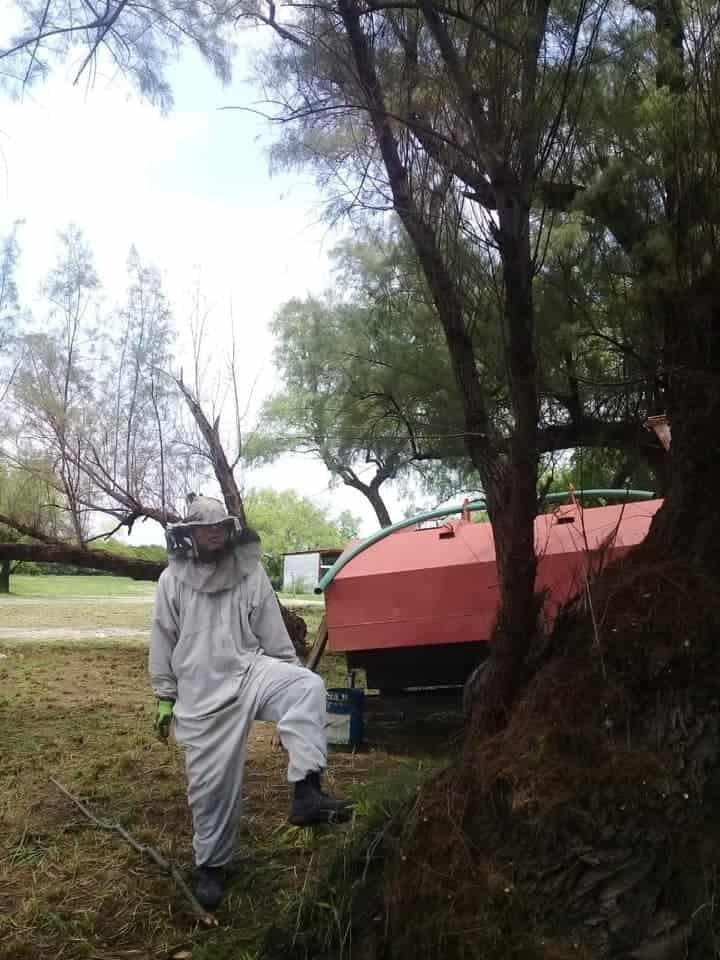 Atacan abejas a campesinos