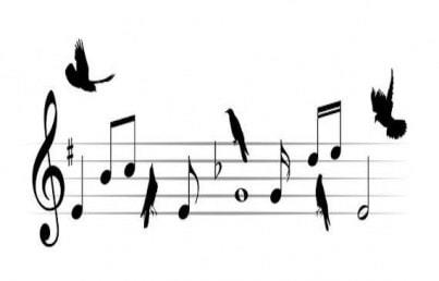 La influencia de las aves en la música clásica