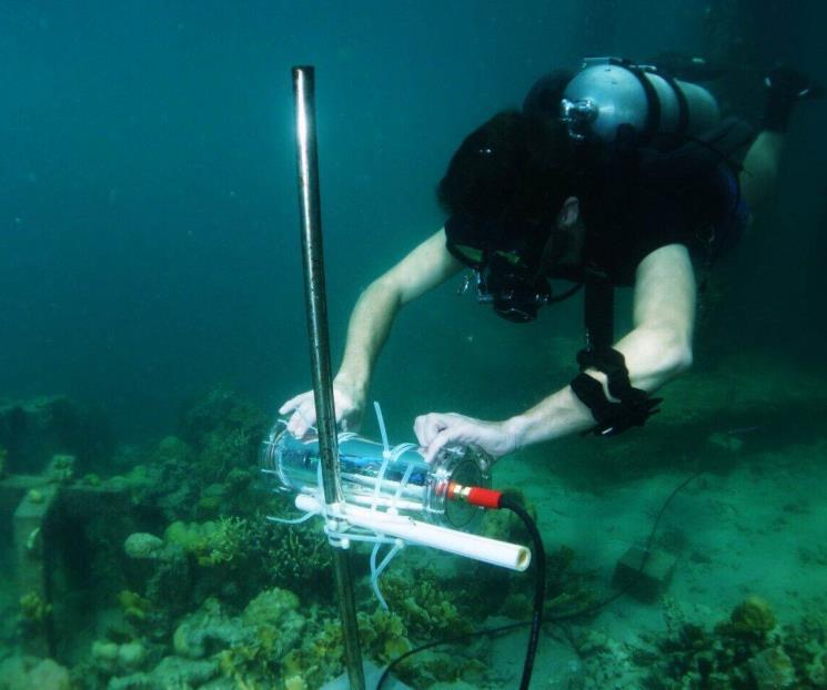 Inteligencia artificial que protege los arrecifes de coral