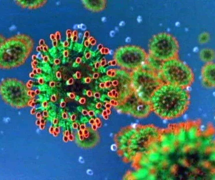 Por coronavirus han muerto 394 mil 787 personas en el mundo