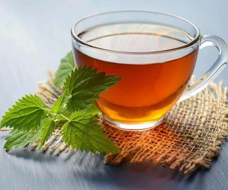 Por qué es bueno consumir té de flor de calabaza