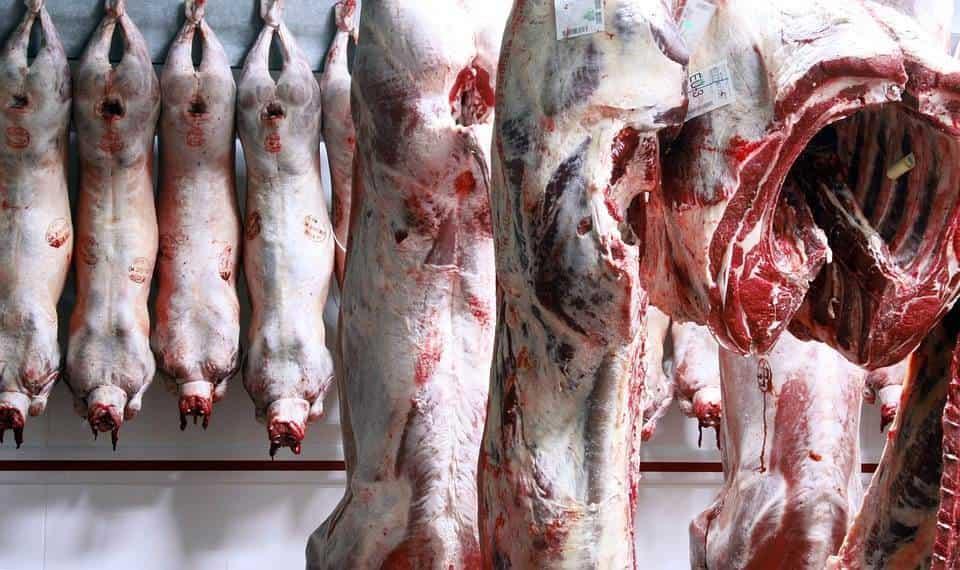 México aumenta exportación de carne de res a Canadá y EU