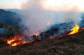 Presenta NL alto riesgo de incendios forestales