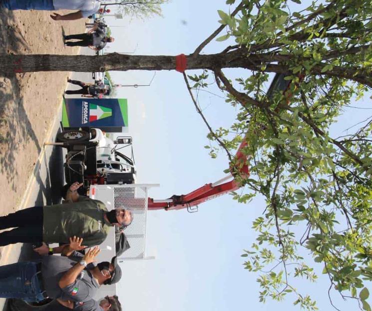Siembran árbol 6 mil 500 en Distrito Verde Apodaca