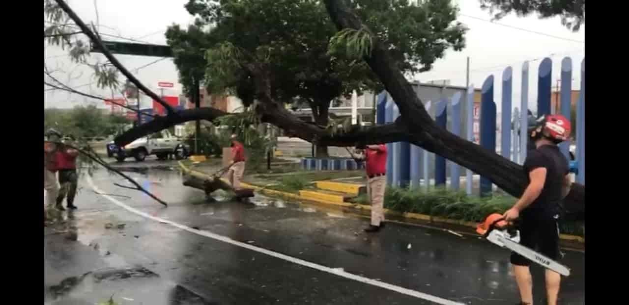 Ocasiona tormenta daños a estructuras y caída de árboles