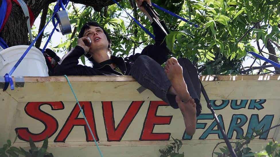 Pasa activista 738 días en un árbol para salvarlo