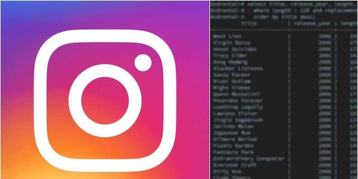 Exponen 235 millones de cuentas de Instagram y TikTok