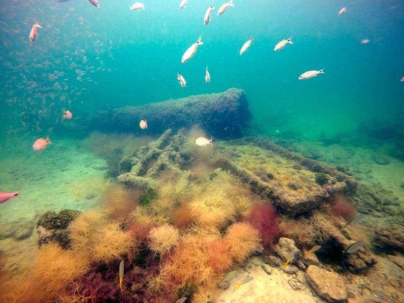 Barco encontrado en Yucatán transportaba esclavos mayas