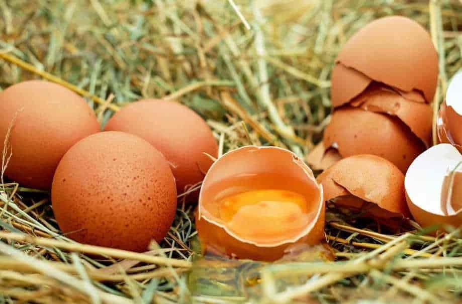 Descubre qué son las manchas rojas en el huevo