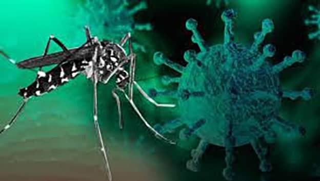 Llega Covi-Dengue a NL con 3 casos