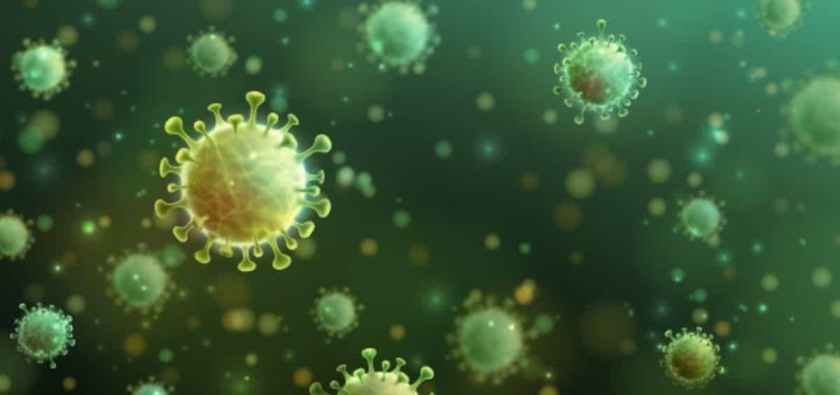 Sistema inmunológico ofrece claves sobre reacción al virus