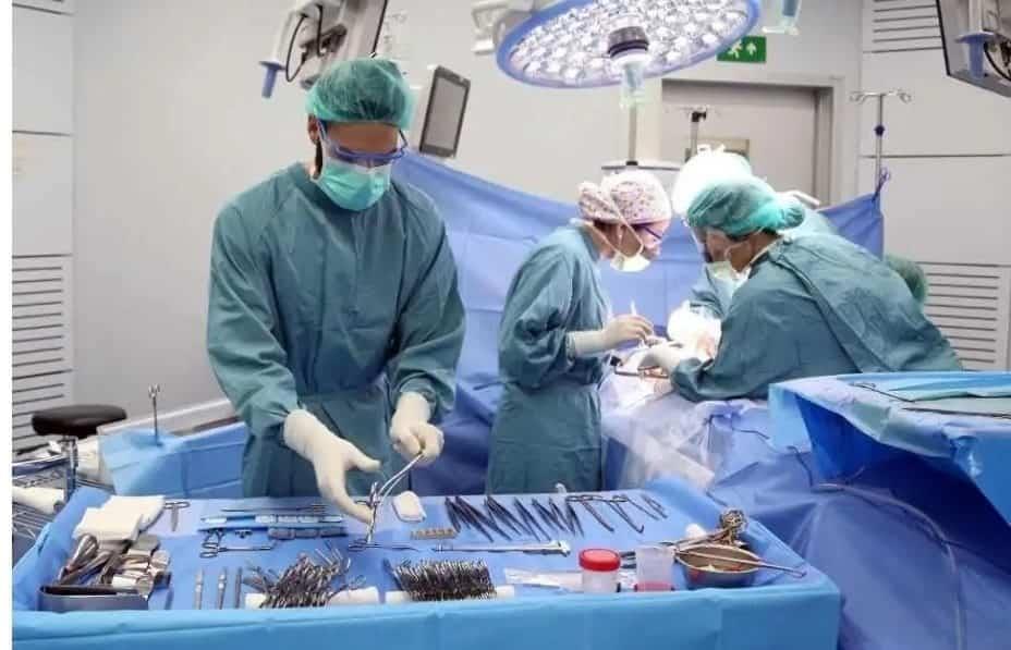 Promueve NL donación de órganos y tejidos