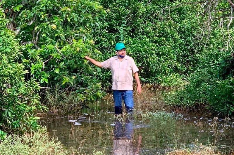 Afectan “Gamma” y “Delta” al campo en Yucatán