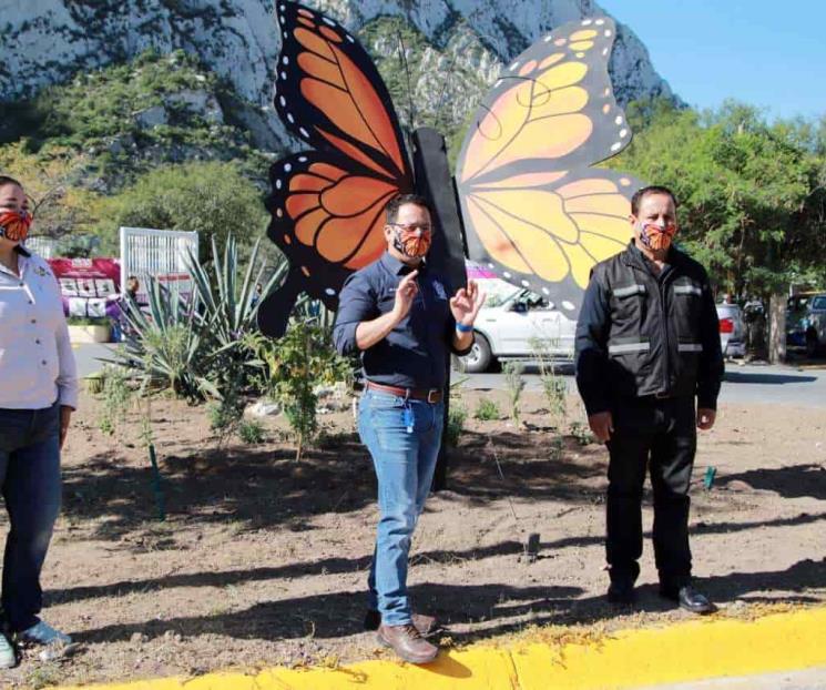 Cuidan en Santa Catarina el paso  de la mariposa monarca