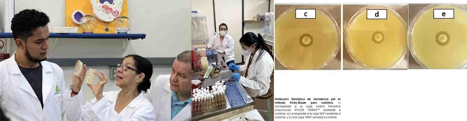 Detectan especialistas bacterias difíciles de combatir