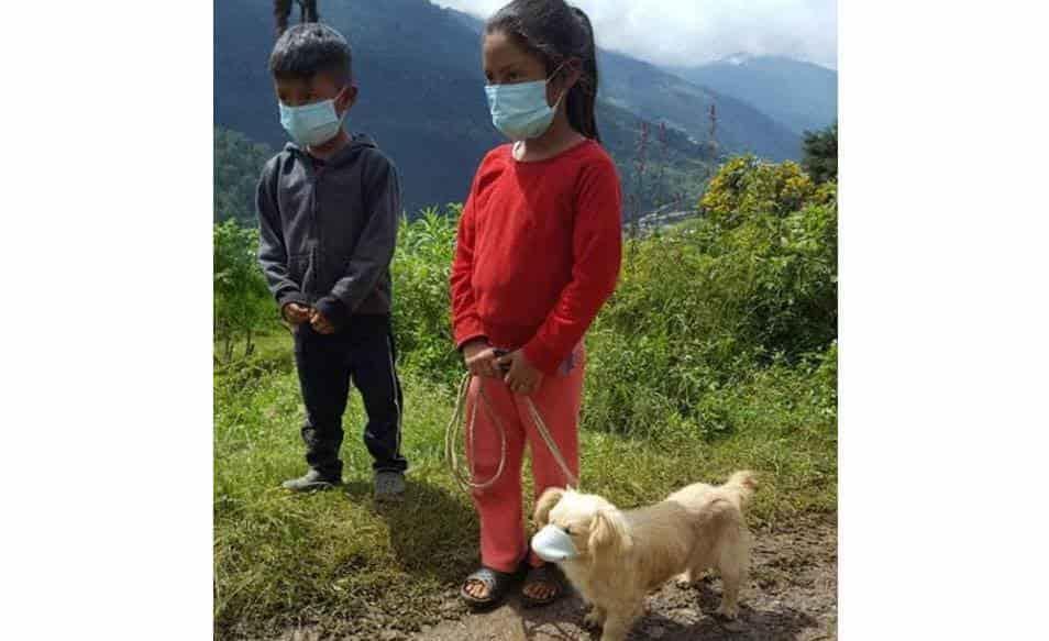 Perro es llevado a vacunar... con cubrebocas, en Guatemala