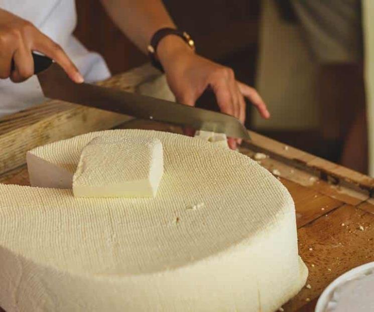 Lo que necesitas saber sobre el queso