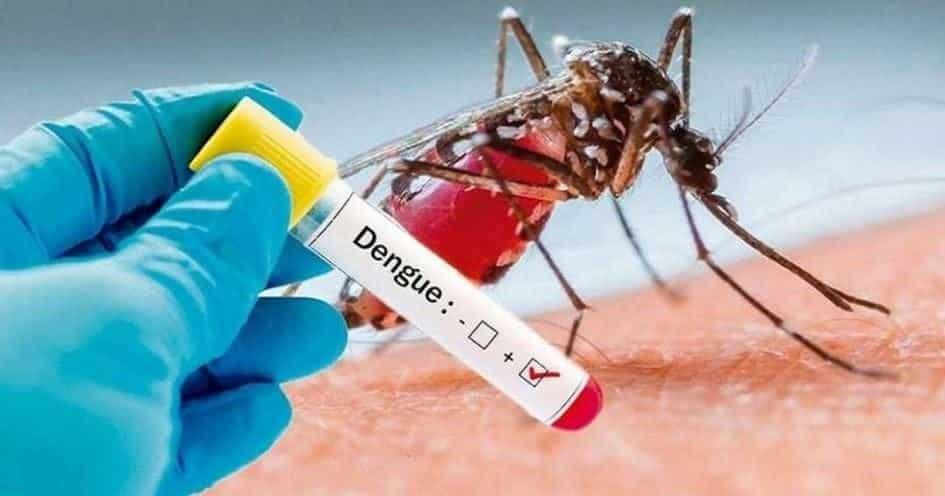 Mantiene Nuevo León alerta por Covi-dengue