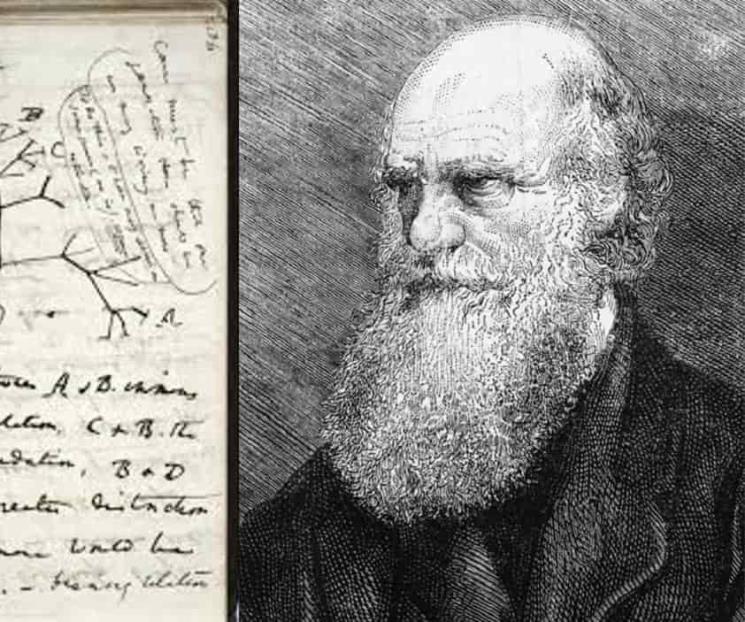 Denuncian robo de dos cuadernos de Darwin