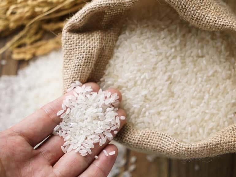 Darán fertilizante a 5,500 productores de arroz y maíz