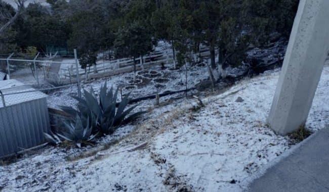 Zacatecas reporta caída de nieve y bajas temperaturas