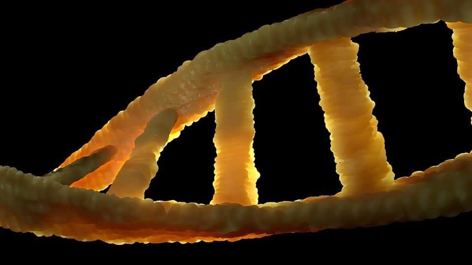 Diseñan prueba de ADN que identifica la neumonía por Covid