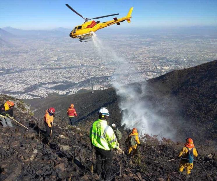 Sofocan incendio forestal en Cerro de La Silla