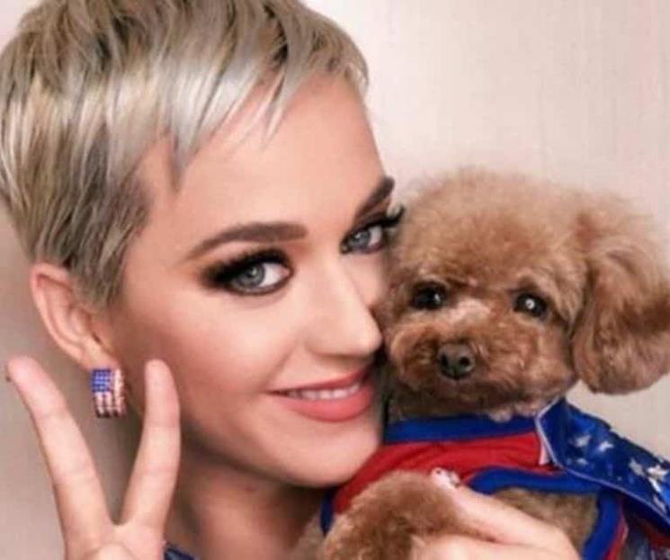 Katy Perry desata críticas por su mascota
