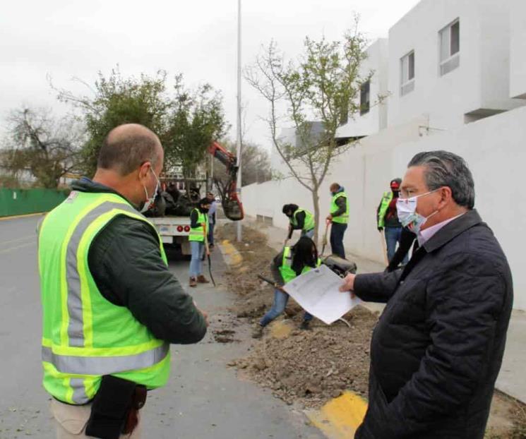 Avanza Escobedo en programa de reforestación