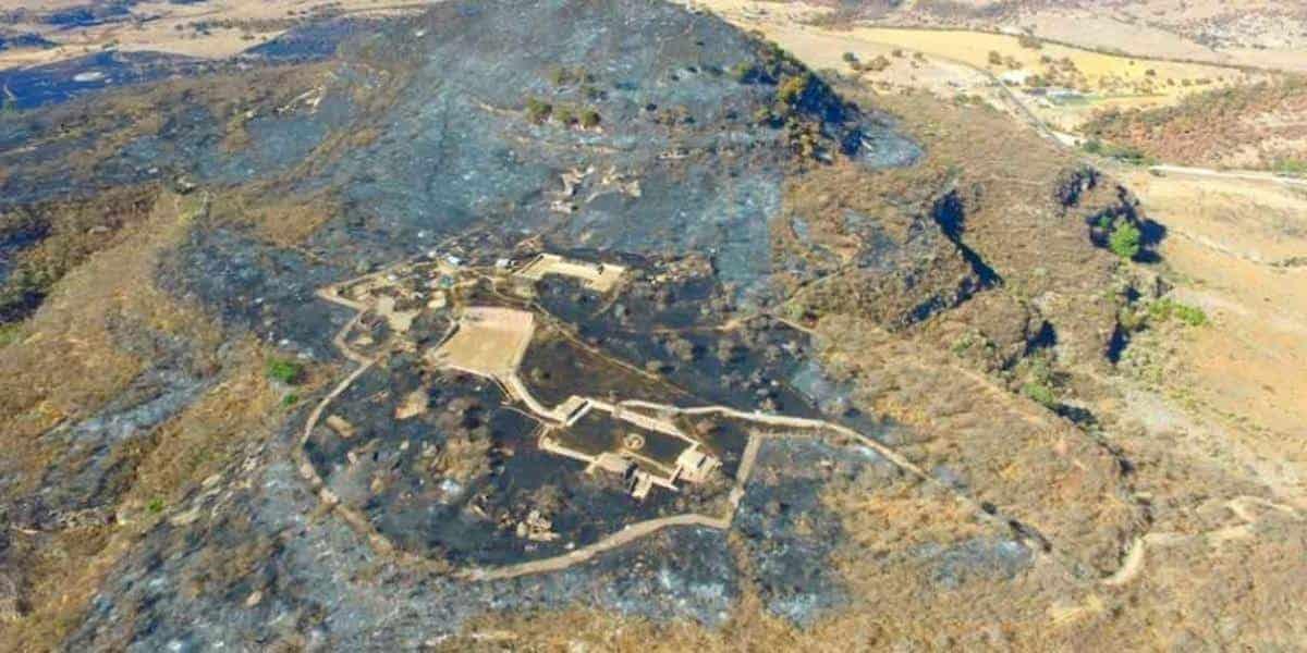 Incendio en Zacatecas alcanzó a zona arqueológica