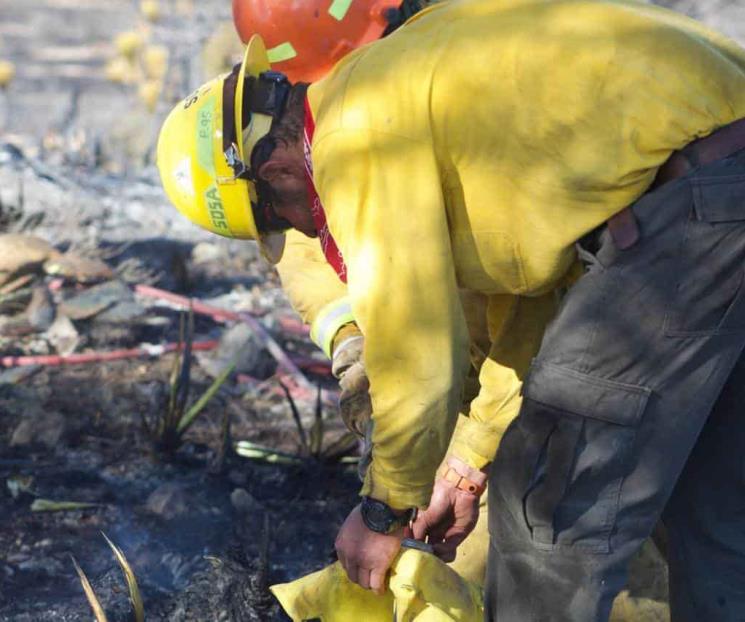 Controlan incendio forestal en Galeana