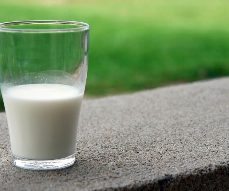 Detectan microplásticos en 23 marcas de leche