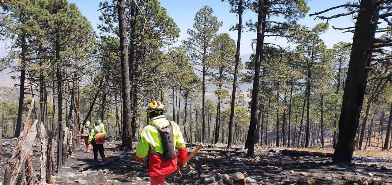Combaten cinco incendios forestales en Nuevo León