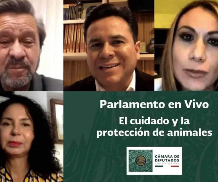 Dialogan sobre garantizar el cuidado y protección animal