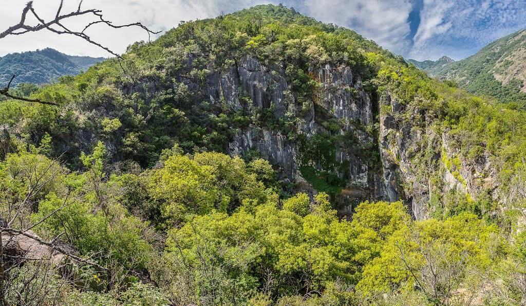 Declaran Área Natural Protegida Sierra Picachos