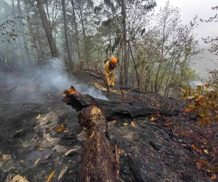 Solicita NL declaratoria de emergencia por incendio forestal