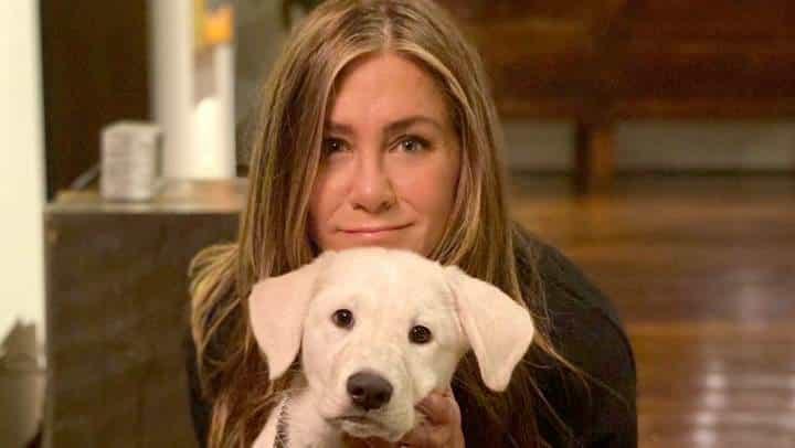 Niega Jennifer Aniston rumores sobre posible adopción