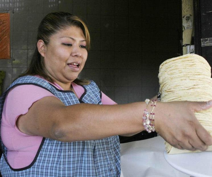 Sin apoyo, precio de tortilla subirá, dicen productores