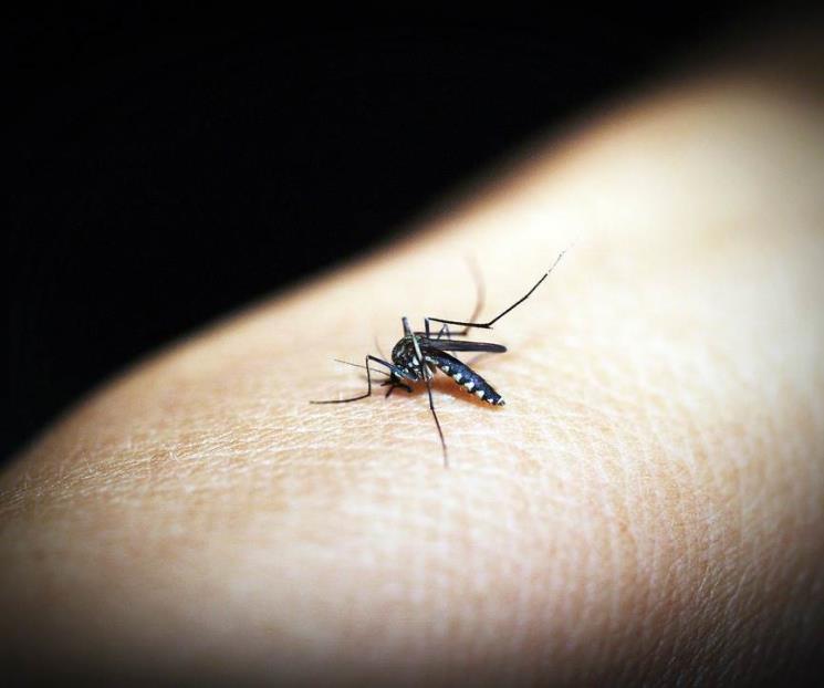 Pese avances, la malaria aún da casos nuevos en México