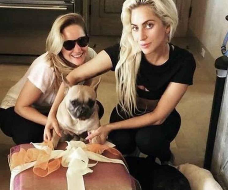 Detienen a 5 sospechosos por robo de los perros de Lady Gaga