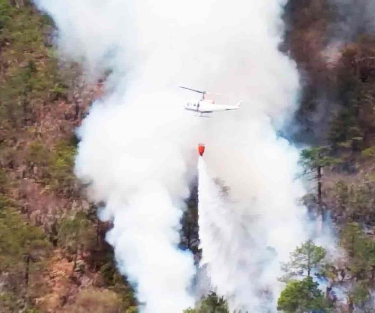 Aterriza de emergencia helicóptero en Rayones