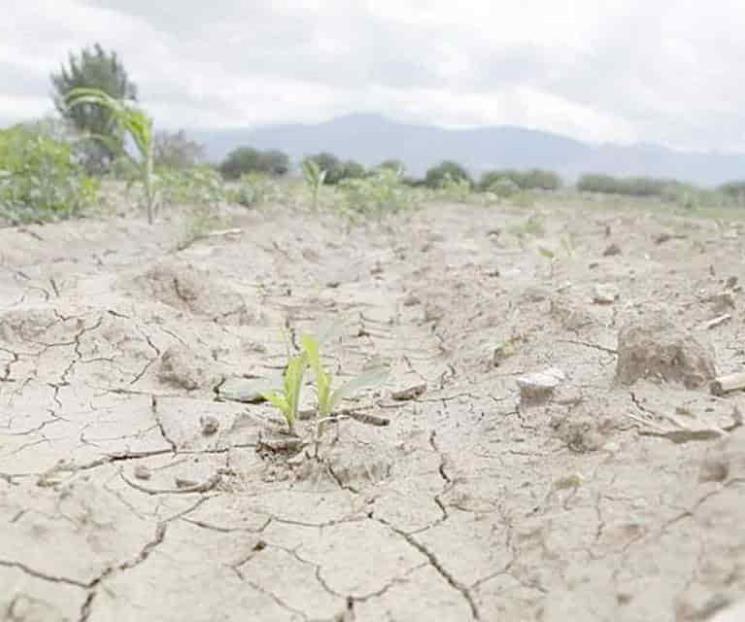 Urge que llueva para evitar severa sequía